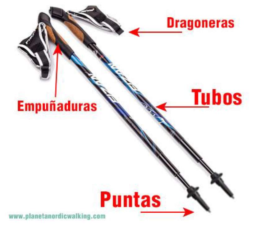 imagen bastones